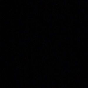 Meet your Posher, Kashonda